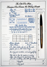 Load image into Gallery viewer, Z-Parker Parker 45 Flighter - Flighter SS with 14ct Gold Nib - P1113o