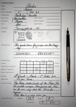 Load image into Gallery viewer, Z-Parker Classic Flighter GT - M Medium Two Sided 14k Gold Nib