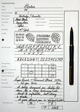 Load image into Gallery viewer, Z-Parker 95 Matt Black GT - M Medium Gold Nib (P924a)