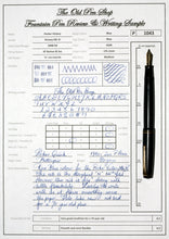 Load image into Gallery viewer, Z-Parker Victory Mk IV - Blue with "N" 14ct Gold Nib - P1043