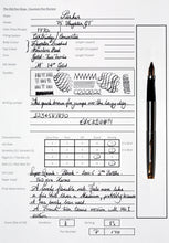 Load image into Gallery viewer, Z-Parker 75 - Flighter GT with 2 Tassies with "M" 14ct Gold Nib - (P170)