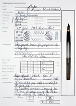 Load image into Gallery viewer, Z-Parker 75 Premier - Cisele Sterling Silver with M Point 18ct Gold Nib - (P883)