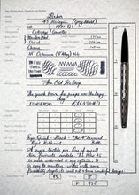 Load image into Gallery viewer, Z-Parker 45 Harlequin - Harlequin Grey Shield with "M" Octanium Nib - (P935)