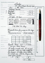 Load image into Gallery viewer, Z-Parker 75 - Red Jasper Quartz Laque with 14ct Gold "M" Point Nib  (P992)