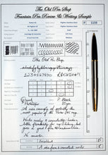 Load image into Gallery viewer, Parker 45 Flighter GT-Flighter Stainless Steel with M Gold Plated Nib-P1159
