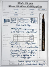 Load image into Gallery viewer, Parker Victory Mk I -Striated Green with "N" 14ct Gold Nib-P1207c
