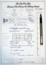 Load image into Gallery viewer, Parker 25 Blue Trim Mk III-Flighter Stainless Steel with Stainless Steel Nib-P1160a
